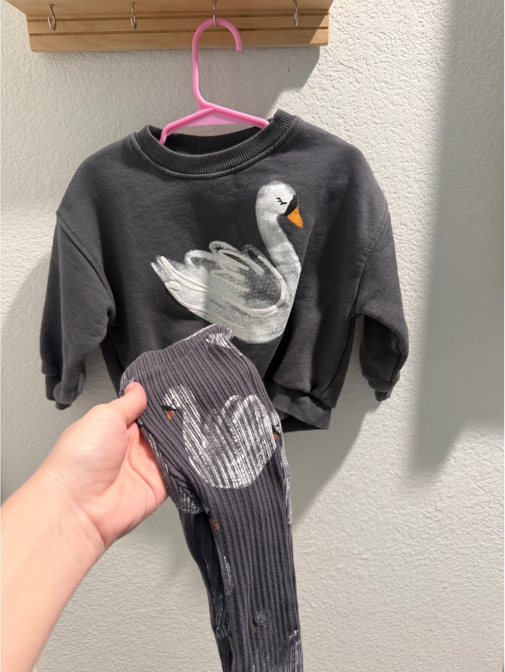 Zara Swan Dance Set